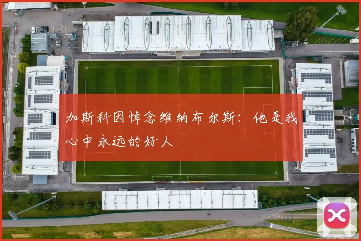 加斯科因悼念维纳布尔斯：他是我心中永远的好人